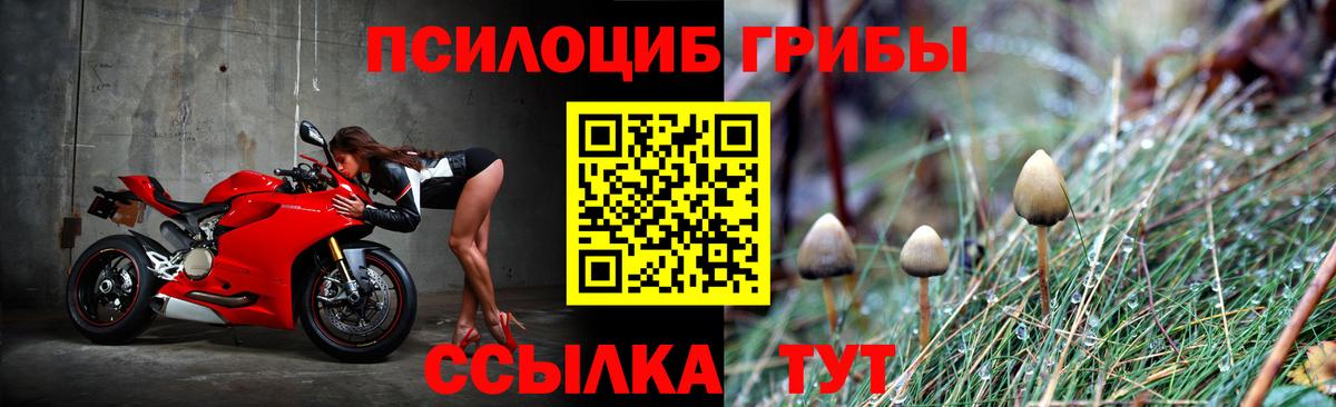Галлюциногенные грибы прущие грибы Лыткарино