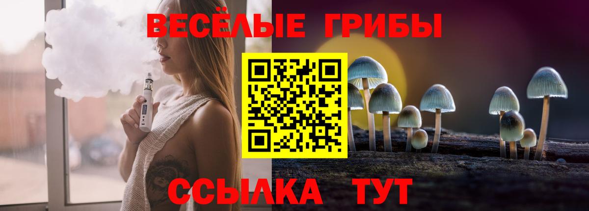 цены   Псилоцибиновые грибы MAGIC MUSHROOMS  Вход с VPN  Лыткарино 