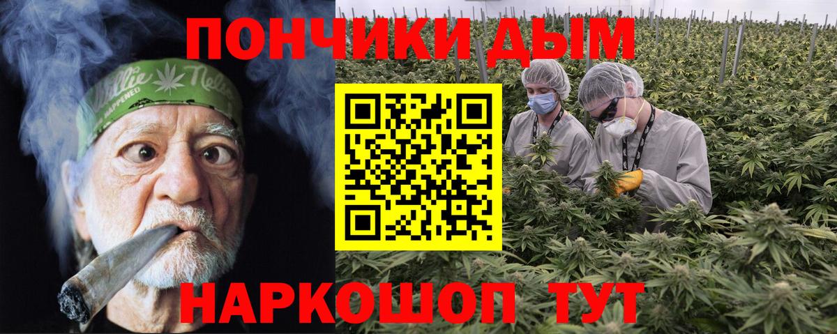 Бошки марихуана сатива  Вход с VPN  Конопля THC 21%  Лыткарино 